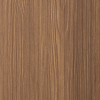 Teaktræ