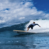 Coasto Air Surf 8’