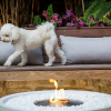 Mix 850 Ecosmart Fire Bowl