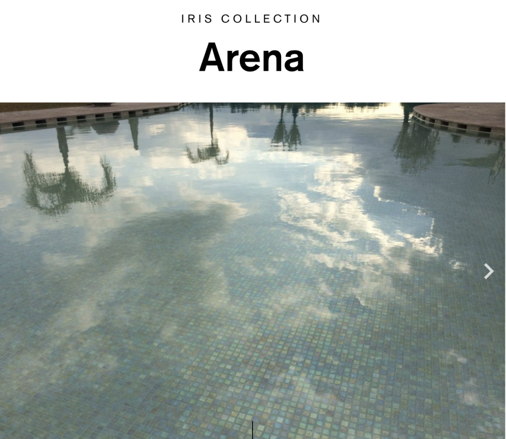 EZARRI ARENA