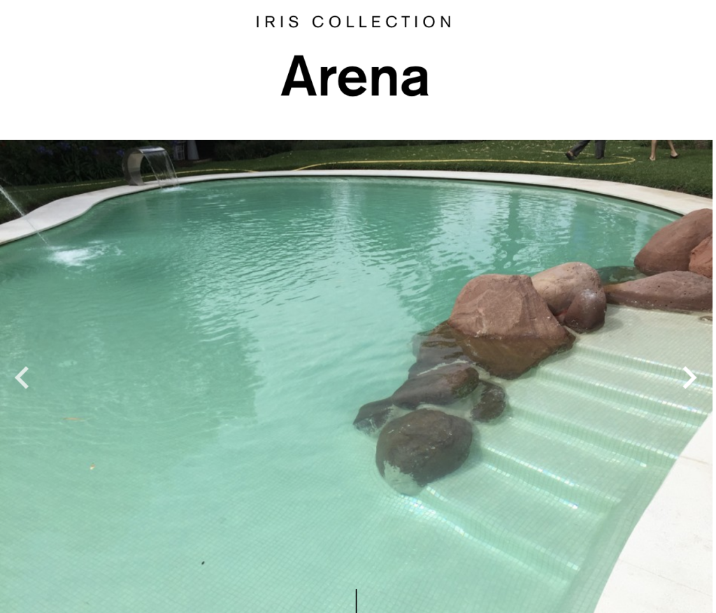 EZARRI ARENA