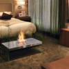 Iglu-Kamin-Design EcoSmart-Feuer