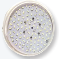 VIPOOL LED-FLOODLYS MED LILLE DIAMETER